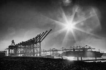 Kranen op de Maasvlakte, Rotterdam in zwart wit