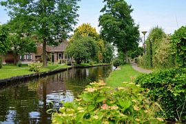 Such an idyllic scene