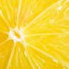 Fresh yellow lemon cross section by Sjoerd van der Wal