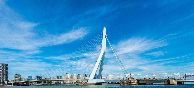 Erasmusbrücke Rotterdam von Brian Morgan