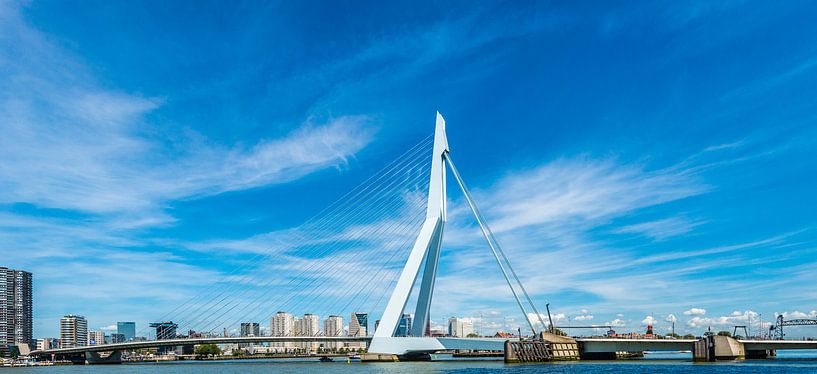 Erasmus Bridge Rotterdam by Brian Morgan
