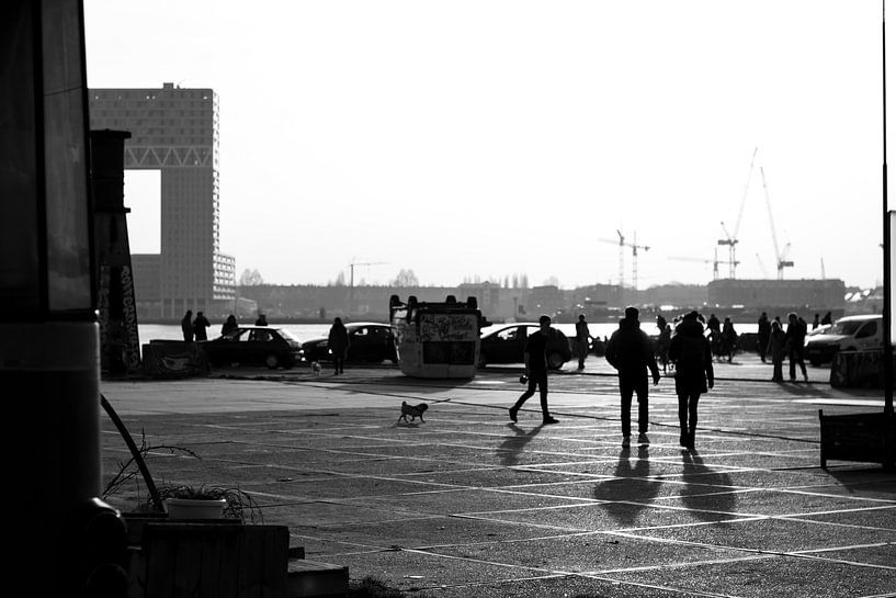 Black and white north by Dutch Creator