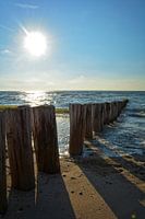 Houten kribben op de Noordzee