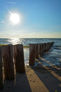 Houten kribben op de Noordzee van Claudia Evans