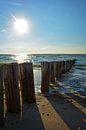 Houten kribben op de Noordzee van Claudia Evans thumbnail