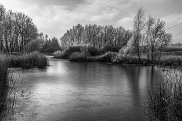 Polder landscape by Ivo de Rooij