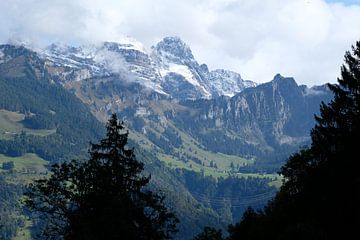 Uitzicht op de bergen in Zwitserland van Idema Media