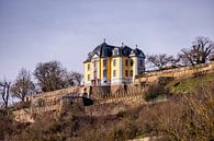 Voorjaarswandeling door de prachtige Saale vallei bij Dornburg-Camburg - Thüringen - Duitsland van Oliver Hlavaty thumbnail