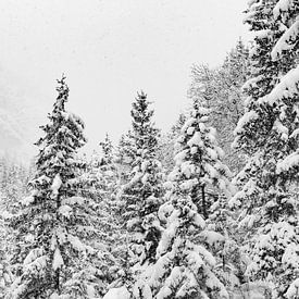 Winterlandschaft Halltal von Andreas Friedle