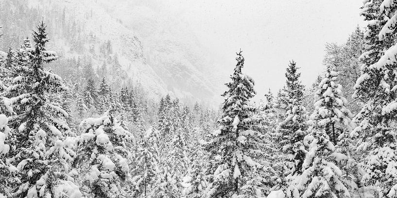 Winterlandschaft Halltal von Andreas Friedle