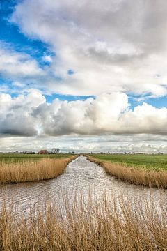 Blue sky of Holland van Willy Sybesma