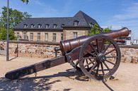 Alte Kanone, Alter Zoll, Bonn, Rhénanie-du-Nord-Westphalie, Allemagne par Torsten Krüger Aperçu