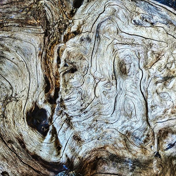 Art in nature by Dieter Walther