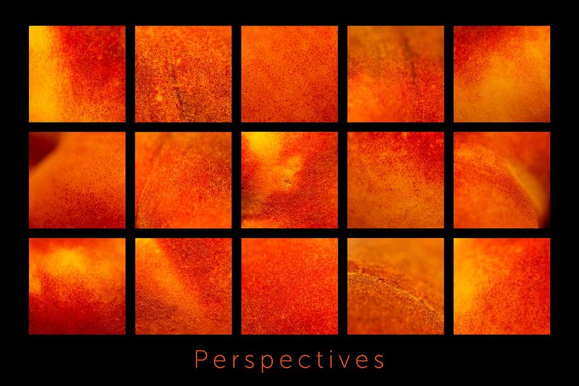 Perspektiven von Martin Streng