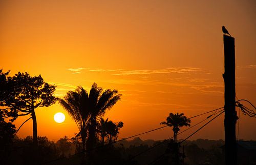 Zonsopkomst  in Lelydorp in Suriname