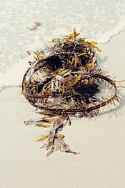 Los Angeles Seaweed sur Marloes van Bijsterveld-Maat