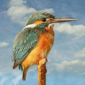 Kingfisher sur Marja van den Hurk