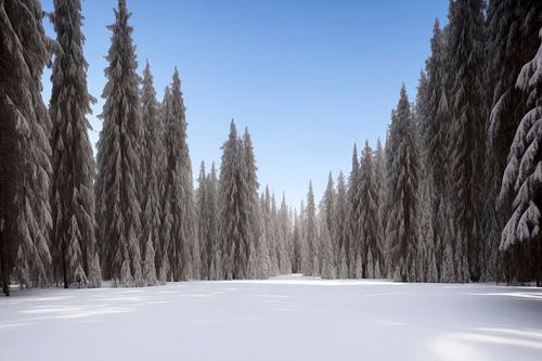Wintersneeuwgrot in het bos