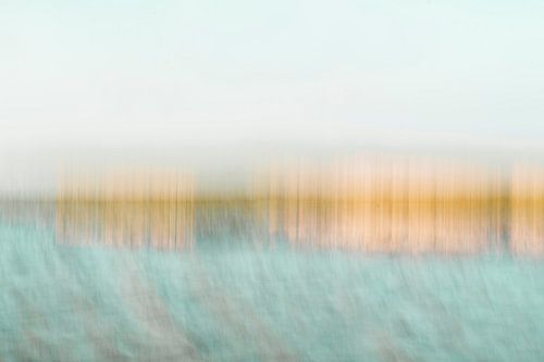 Am Rande des Markermeers