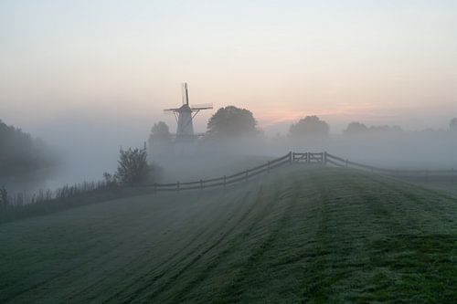 Morning mist at Molen de Vlinder