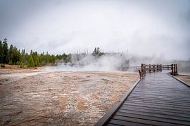 Yellowstone National Park by Nicole Geerinck