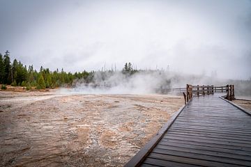 Yellowstone-Nationalpark von Nicole Geerinck