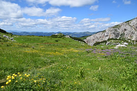 Prairie de montagne au Kosovo 1 sur Erik Buitenhuis