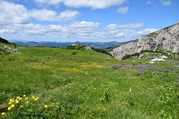Bergweide in Kosovo 1