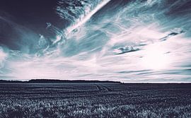 The Way of the Gladiator - The Way to the Afterlife by Jakob Baranowski - Photography - Video - Photoshop