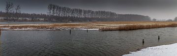 De Pluimpot van Franksfotoforum