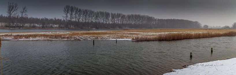 The Pluimpot by Franksfotoforum