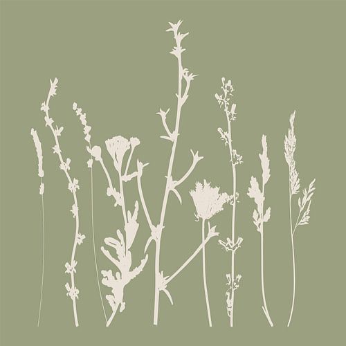 Meadow Botanical art in Sage Green en Beige nr. 5