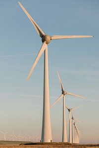Niederländische Windmühlen