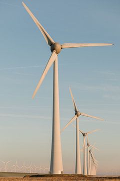 Éoliennes néerlandaises sur Joke van Veen