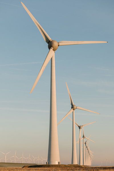 Éoliennes néerlandaises par Joke van Veen