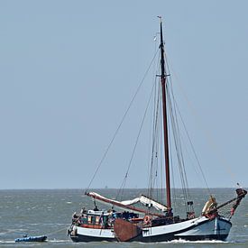Het bruine vloot schip Stânfries van Piet Kooistra