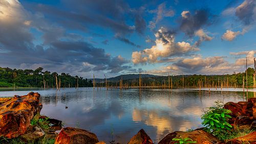 Lac Brokopondo au Suriname