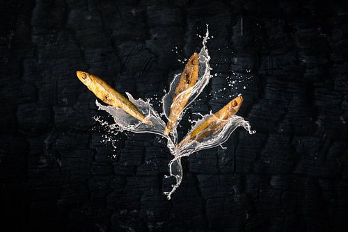 Wad's & Sea, spiering uit de Waddenzee van Froukje Smith