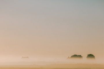 Nederlands platteland in de mist | Nederland | Natuurfotografie | van Marika Huisman fotografie