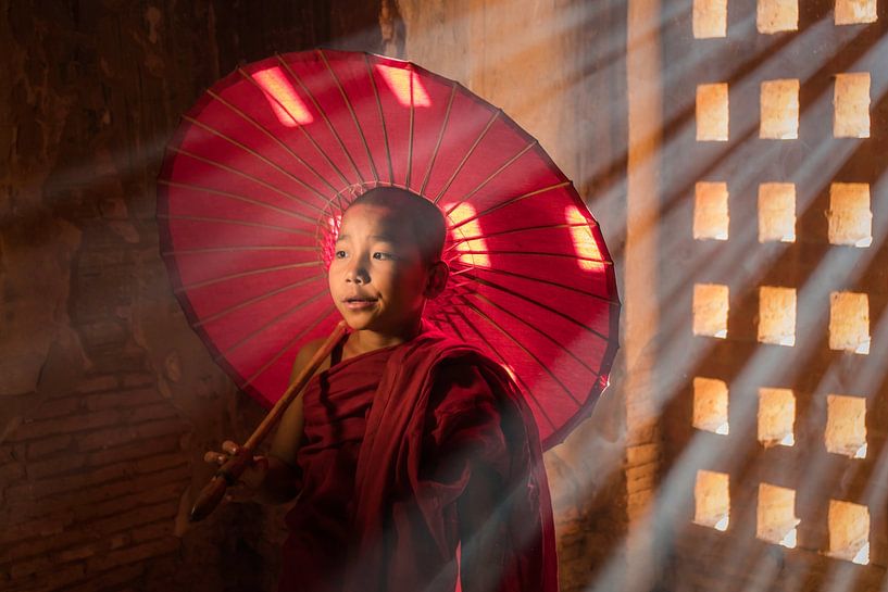 Young monk in the light of a window in the temple by Anges van der Logt