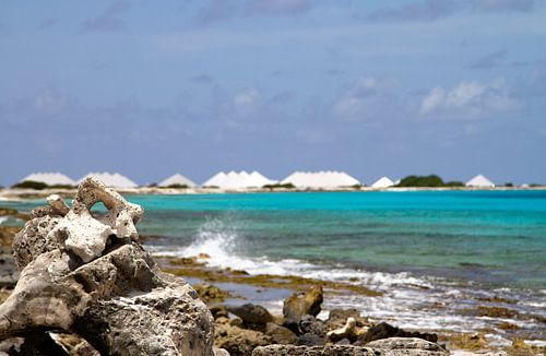 De zoutvlaktes van Bonaire von noeky1980 photography