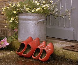 Rode klompen by Arie van Ledden