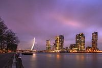 Kop van Zuid