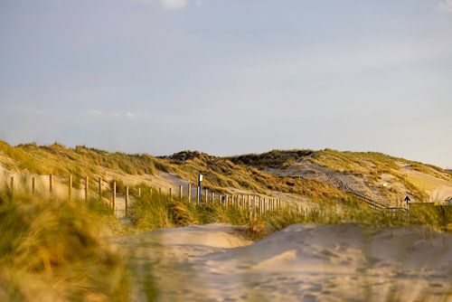 Duinen bij zonsondergang