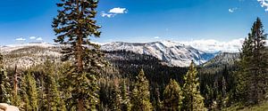Panorama Landschaft Felsen und Nadelbäume am Tioga-Pass im Yosemite Nationalpark Kalifornien USA