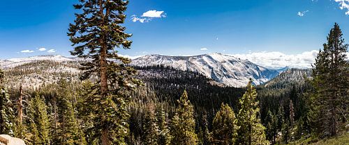 Panorama Landschap Rotsen en Coniferen bij Tioga Pass in Yosemite National Park California USA
