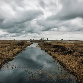 Temps orageux à Weerribben - Sint Jansklooster sur Hans Janssen