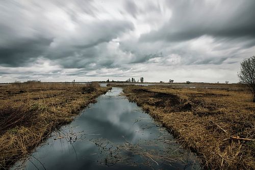 Stormy weather in Weerribben – Sint Jansklooster