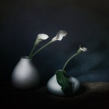 Winter glow . Still life with arum . by Saskia Dingemans Awarded Photographer