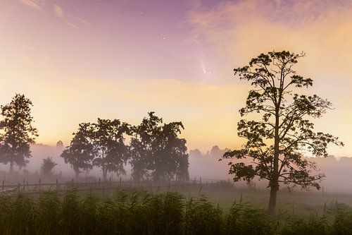 Komet Neowise über niederländischer Landschaft mit Morgennebel
